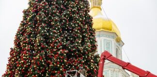 Урядовці відповіли, за чий кошт буде встановлено головну ялинку країни