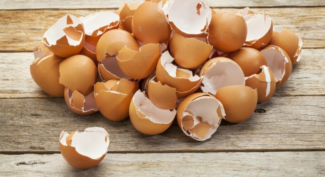 Ви про це точно не здогадувалися: для чого збирати яєчну шкаралупу і як вона може бути корисна в побуті 