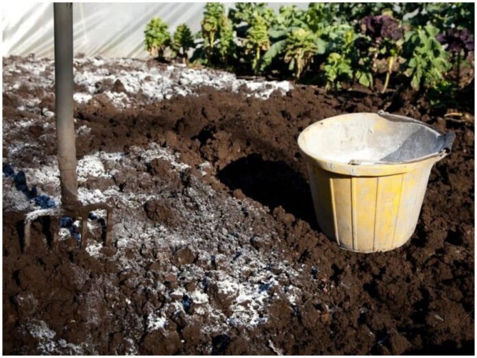 Городники розповіли про дієвий метод розкислення ґрунту