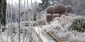 Городник розповів, як підготувати ділянку до снігопадів