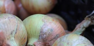 Як використати лушпиння в якості добрива