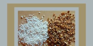 Перліт та вермикуліт - це два популярні матеріали, які широко застосовують при догляді за рослинами