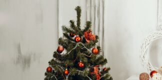 Коли прикрашати ялинку в 2023 році за новим стилем