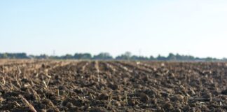 Як правильно перекопувати ґрунт в листопаді