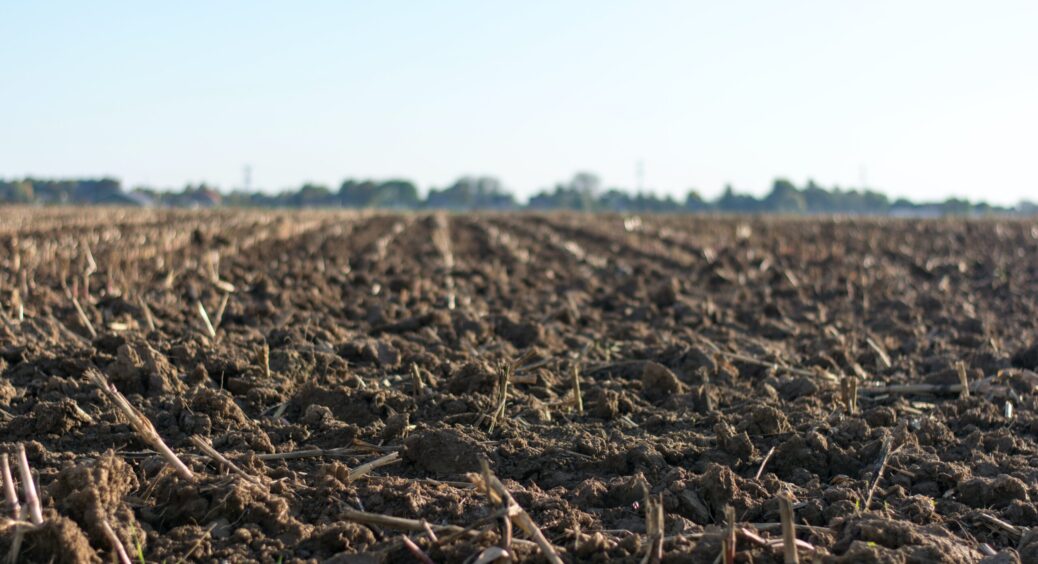 Перекопка городу в кінці листопада: досвідчені дачники розповіли, чи можна це робити та як оживити земою 