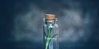  Експерти назвали корисні трави для здоровʼя волосся 