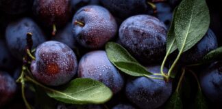 Городники розповіли про осіннє підживлення сливи