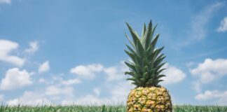 Садівник назвав лайфхак для перевірки стиглості ананасів