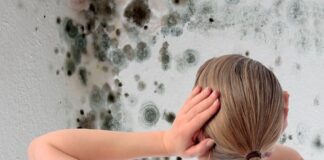 Про що слід знати, щоб не було плісняви в будинку 