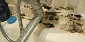 Як позбутися цвілі та грибку у ванній 