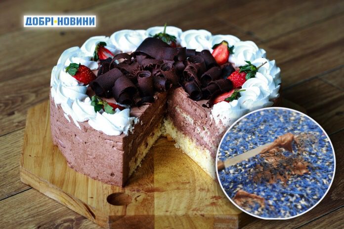 Як вивести плями від шоколаду Як вивести плями від шоколаду