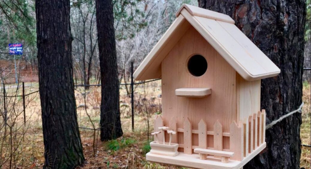 Допомагаємо братам нашим меншим: сусідський дідусь розповів, як зробити шпаківню для пташок на зиму 