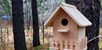 Як зробити своїми руками шпаківню для пташок на зиму 