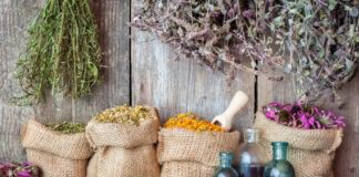 Експерти назвали головні лікувальні трави сезону