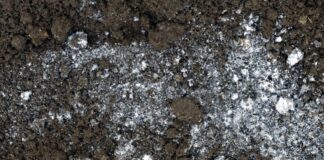 Городник розказав, чим покрити ґрунт взимку для розпушення