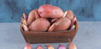 Експерти назвали найкращий сорт картоплі