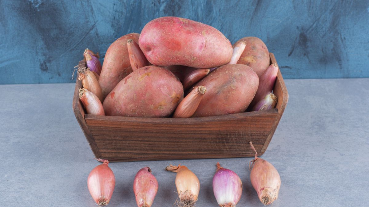 Як правильно зберігати картоплю та цибулю у погребі