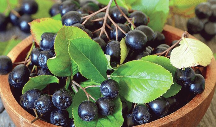 Дачники розповіли, чим замінити дорогі декоративні дерева 