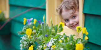 Квітникар розповів, як правильно озеленити кімнату дитини
