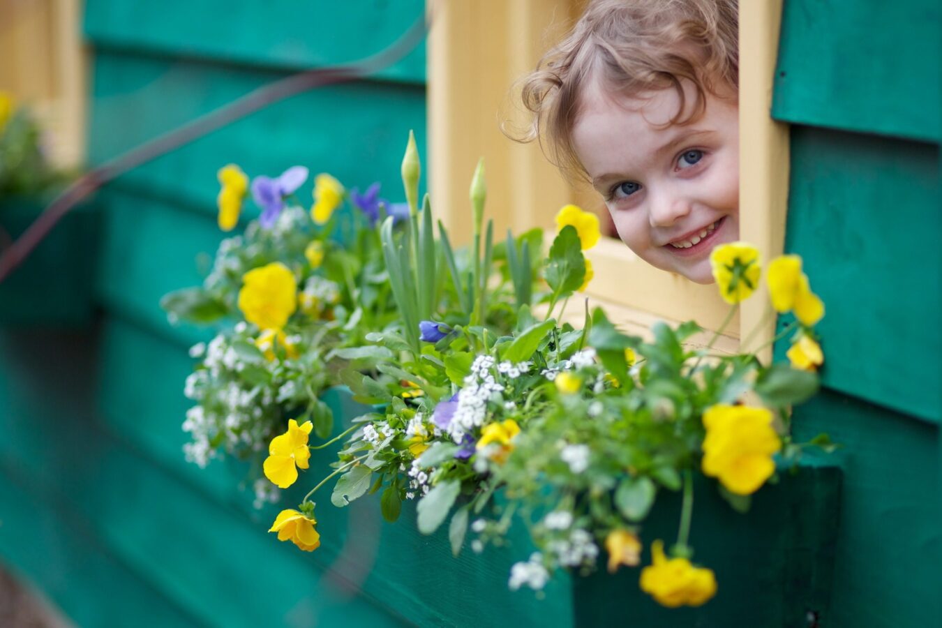 Квітникар розповів, як правильно озеленити кімнату дитини