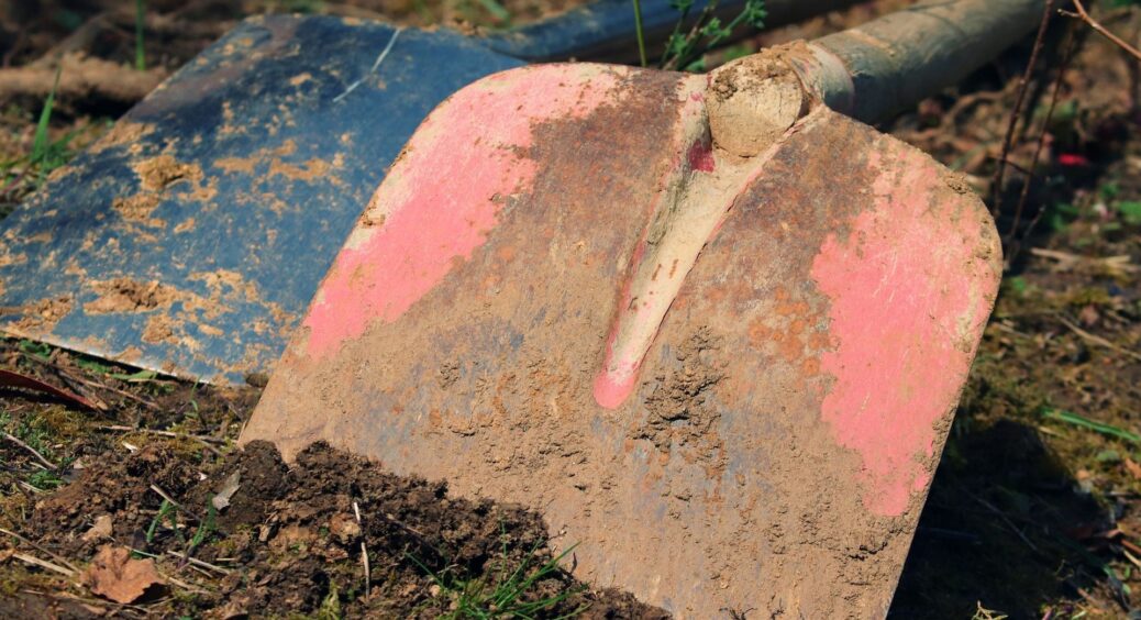 Коли у лютому 2024 можна садити та пересаджувати рослини: місячний календар садівника-городника 