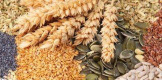 Експерти назвали головні помилки при виборі насіння