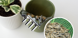 Експерти назвали рецепт добрива з рибних відходів