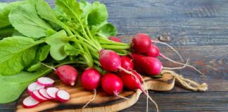 Городник розповів, як підживити редиску на етапі висаджування