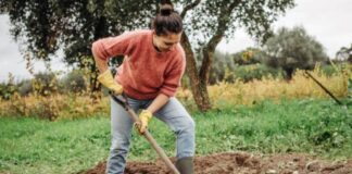 Дачники розповіли, як правильно перекопувати ґрунт 