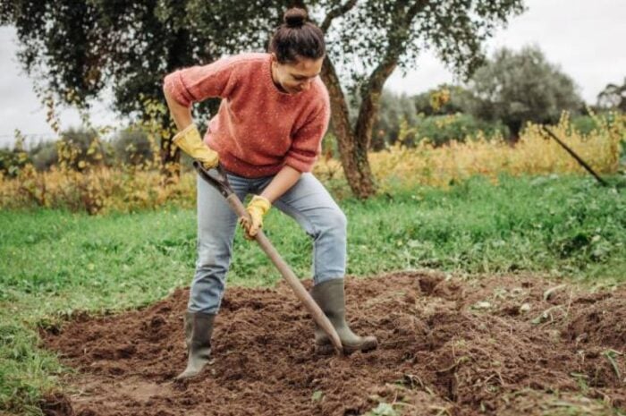 Як правильно боротись із бур'янами на городі та зробити ґрунт пухким