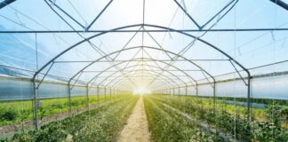 Як зробити теплицю своїми руками — інструкція для всіх