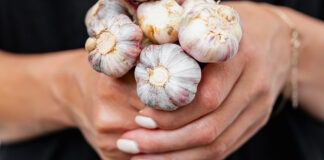 Дачники розповіли, коли найкраще садити озимий часник 