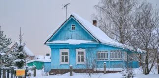 Які роботи на дачі слід зробити у грудні: корисні справи для врожаю