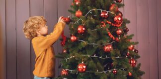 Яку ялинку краще обрати в 2025 році: живу чи штучну 