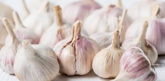 Як правильно зберігати часник до весни