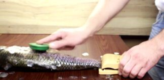 Експерти назвали найпростіший спосіб очищення риби від луски у домашніх умовах