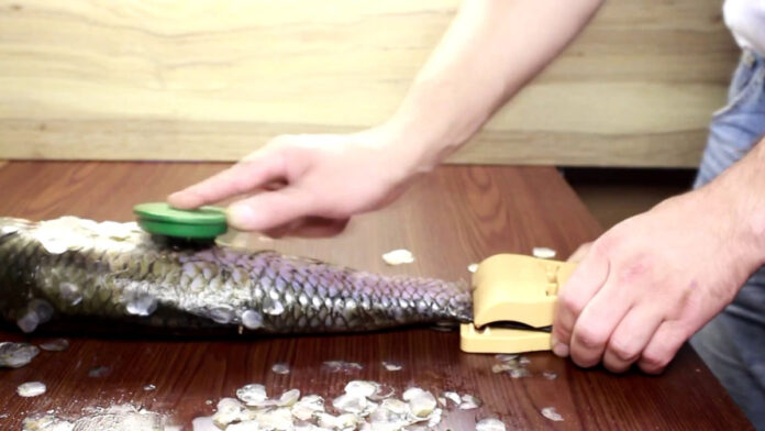 Експерти назвали найпростіший спосіб очищення риби від луски у домашніх умовах