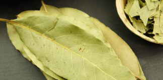 Для чого класти у кишеню лавровий лист: думка експертів