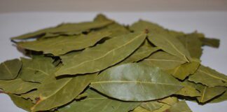 Як удобрювати рослини лавровим листом