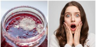 Як захистити відкриті банки з консервацією від плісняви