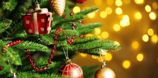 Експерти розповіли, коли потрібно викидати новорічну ялинку