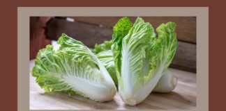 Готуємося до наступного сезону: як успішно виростити пекінську капусту на своїй ділянці