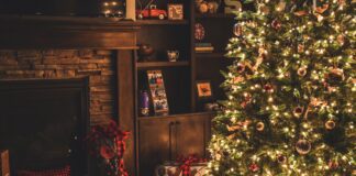 Як подовжити життя ялинки вдома