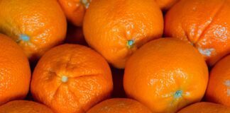 5 найкращих цитрусових, які можна запросто виростити вдома