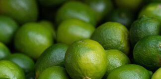 5 найкращих цитрусових, які можна запросто виростити вдома 