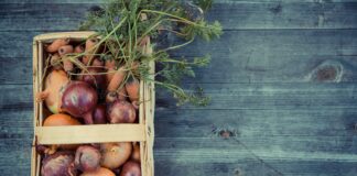 Як правильно зберігати цибулю до весни