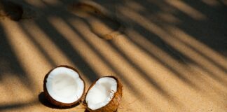 Як зробити горщик для квітів з кокосової шкаралупи