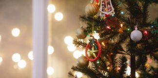 Ідеї, що робити з ялинкою після новорічних свят