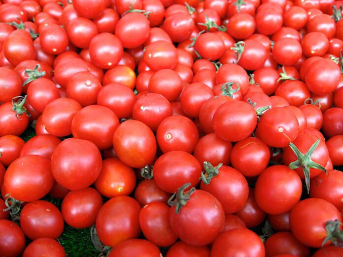 Експерти розповіли, яким добривом пришвидшити ріст томатів