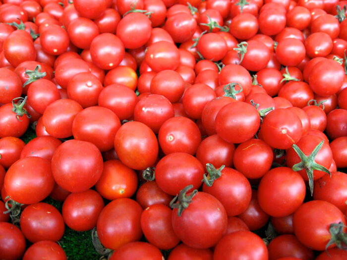 Технологія підживлення томатів: рекомендації садівників